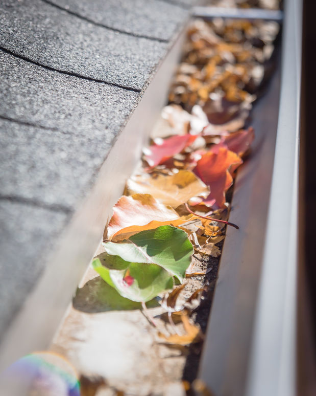 Selective colorful fall foliage of green, yellow, orange, red, dried brown leaves clogged on metal gutter of residential house near Dallas, Texas, USA. Bradford pear leaf crowded on drainage