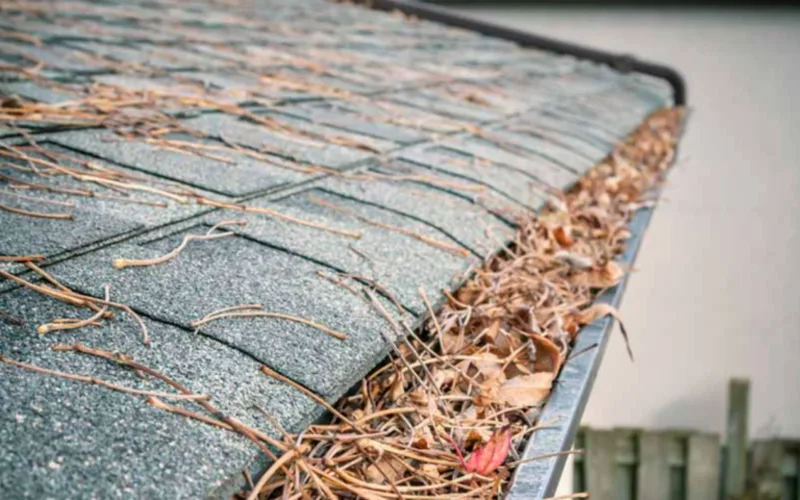 Gutter clogged with leaves and pine needles at a roof edge